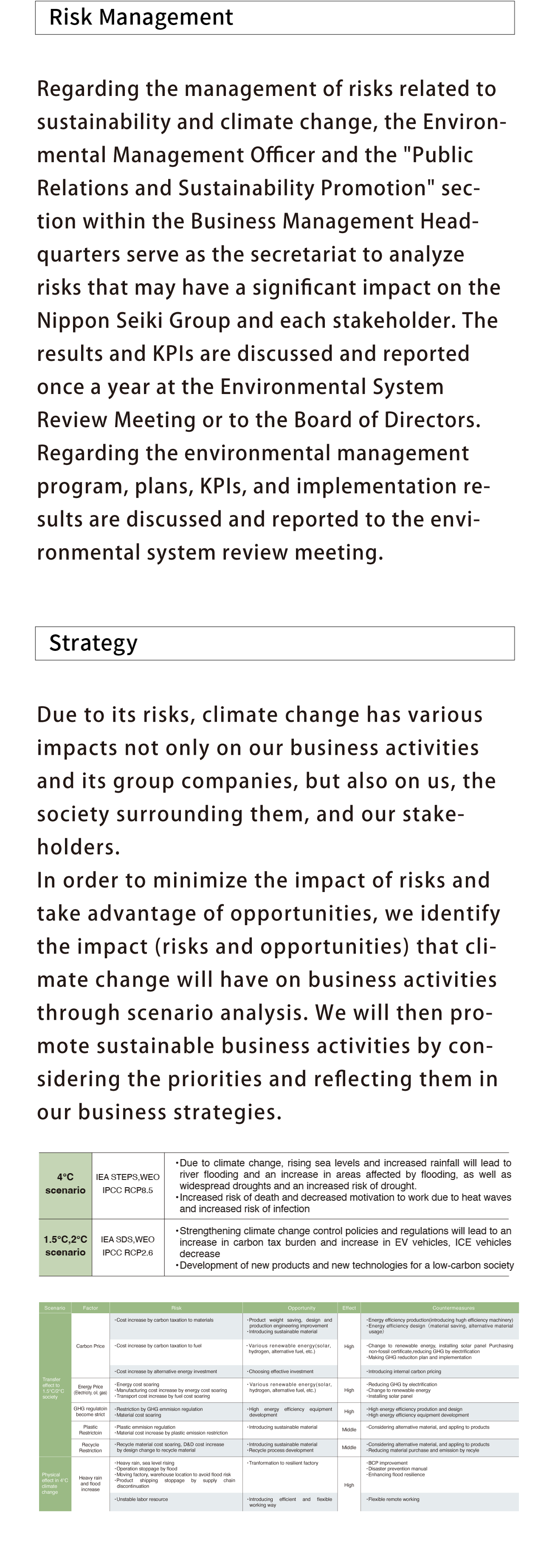 Risk Management/Strategy